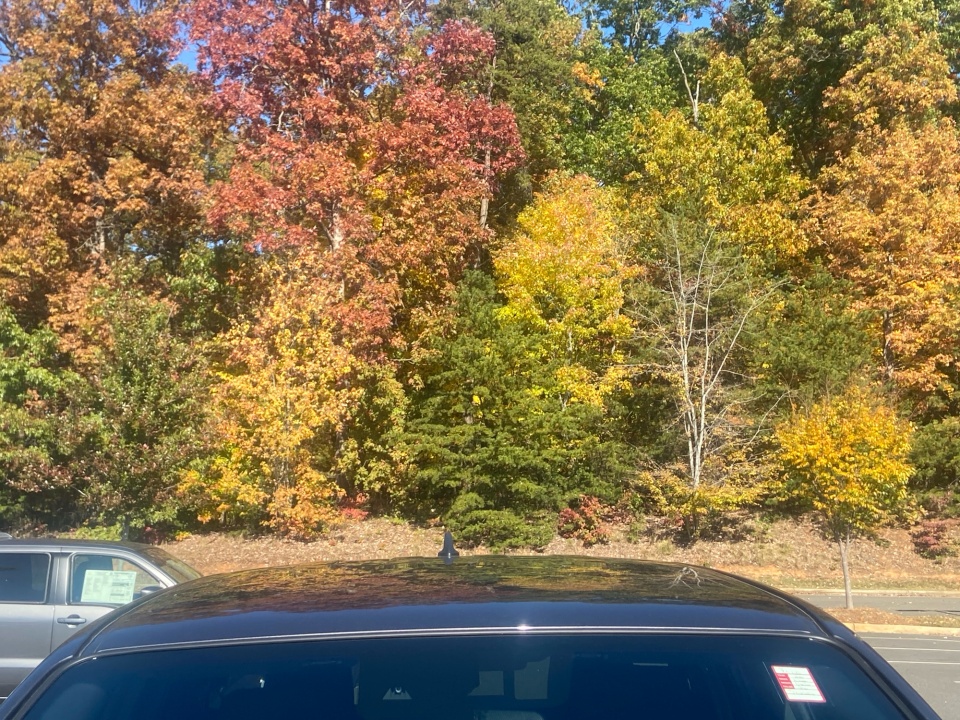 1N6ED1EJ5TN616816 2026 Nissan Frontier Crew Cab PRO-X 4x2