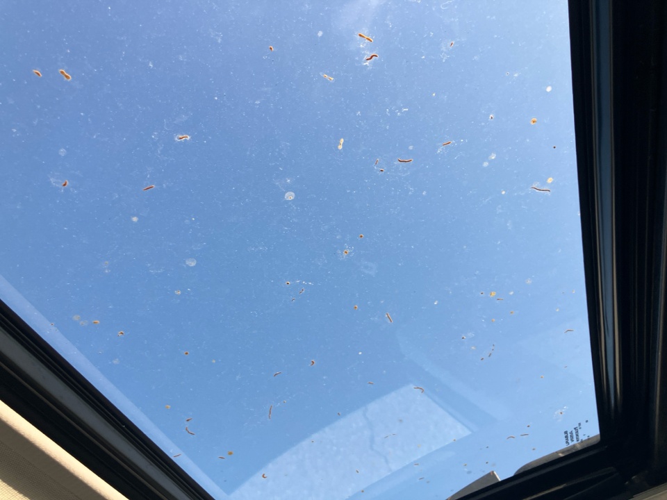 4S4BSANC5K3319385 2019 Subaru Outback 2.5i Limited