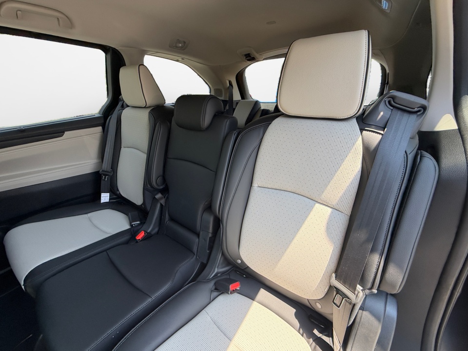 5FNRL6H91TB064915 2026 Honda Odyssey Elite