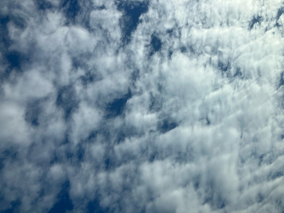 5FPYK3F54TB008679 2026 Honda Ridgeline RTL