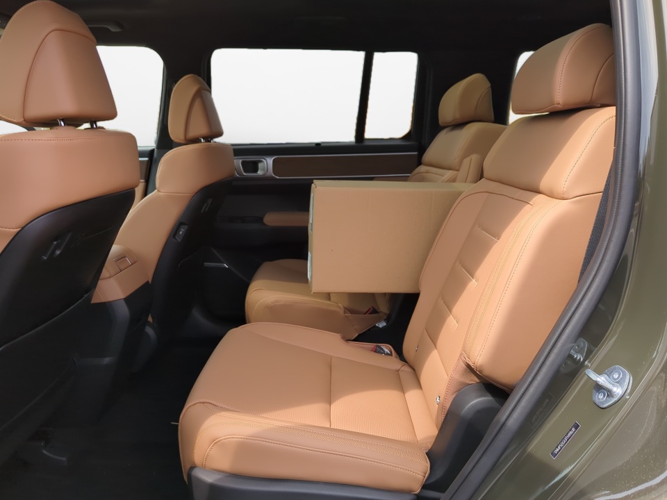 5NMP5DGL0TH198610 2026 Hyundai Santa Fe Calligraphy